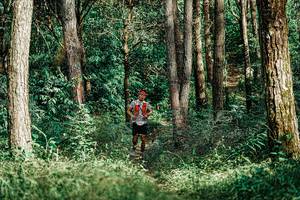 BIB: 
                            <button type="button" onclick="openModal(25237279)" class="btn btn-primary btn-sm float-right btn-popup" data-toggle="modal" data-target=".modal-high-quality">
                        <i class="fas fa-shopping-cart"></i> Add to Cart
                    </button>
                                            <button type="button" onclick="isThisMe(25237279, true)" class="btn btn-success btn-sm float-right btn-popup btn-isme hidden" data-toggle="tooltip" data-placement="bottom" title="นี่คือรูปของคุณใช่ไหม คลิกที่นี่เพื่อเอาเข้าอัลบั้ม">
                        <i class="fas fa-plus"></i> Add to album
                    </button>
                    <button type="button" onclick="isThisMe(25237279, false)" class="btn btn-warning btn-sm float-right btn-popup btn-isnotme hidden">
                        <i class="fas fa-ban"></i> Remove from album
                    </button>